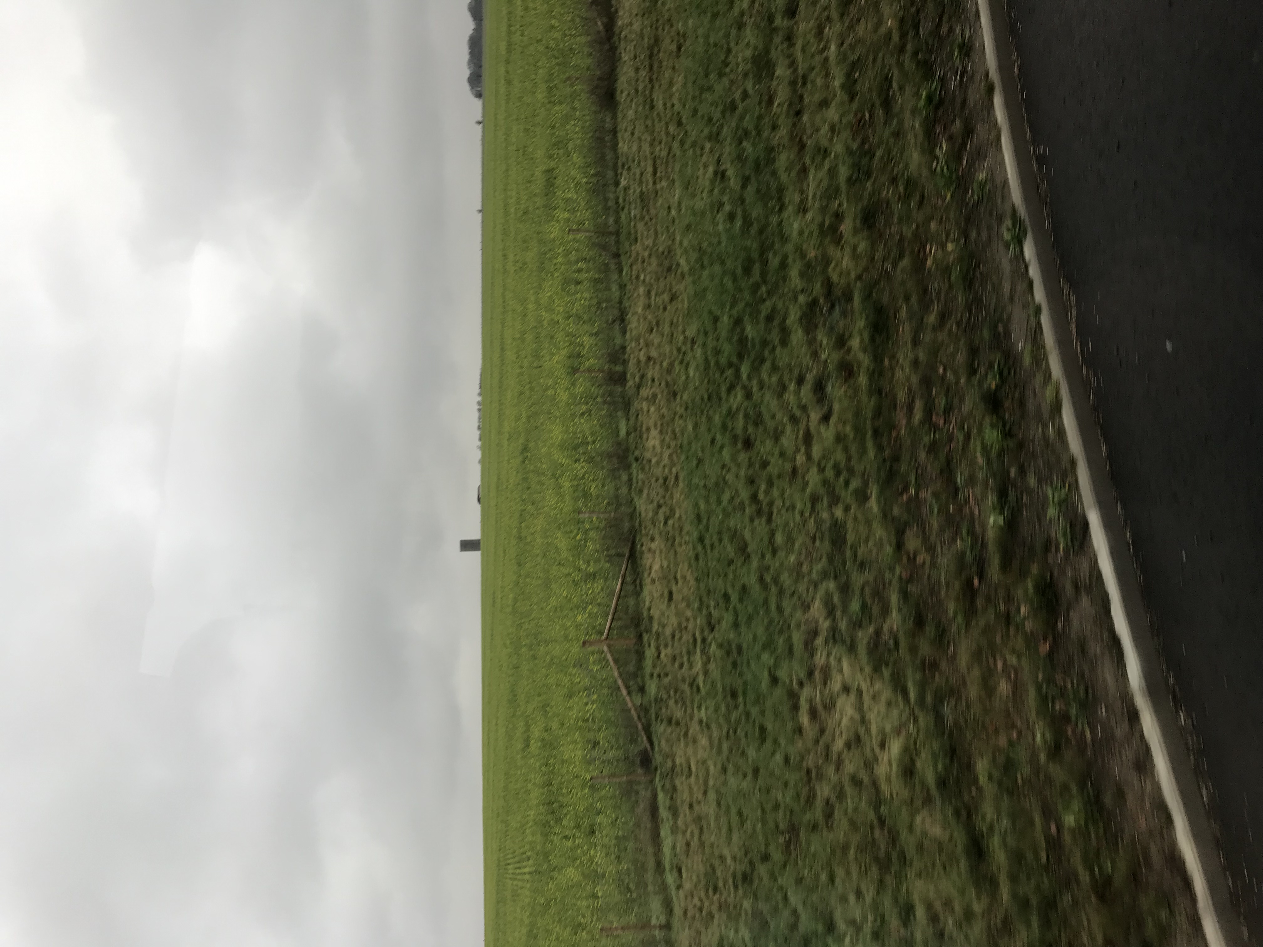 ./2018/15 - London/04 - Day 4/IMG_9266.jpg